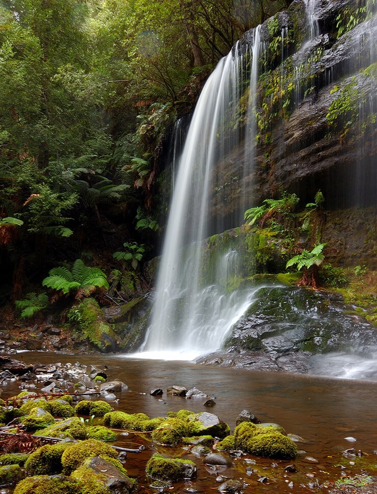 Tasmania’s Most Spectacular Waterfalls | Blog - Spirit of Tasmania