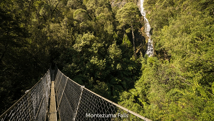 Tasmania Nature Lovers | Spirited Traveller | Spirit Of Tasmania