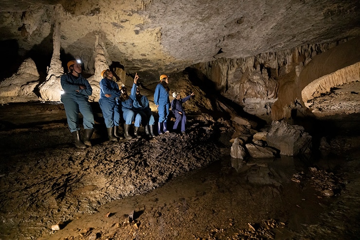 wild cave tours tasmania